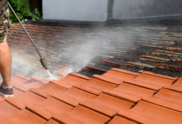 Best Garage Pressure Washing  in Tangerine, FL