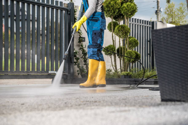 Best Local Pressure Washing Services  in Tangerine, FL